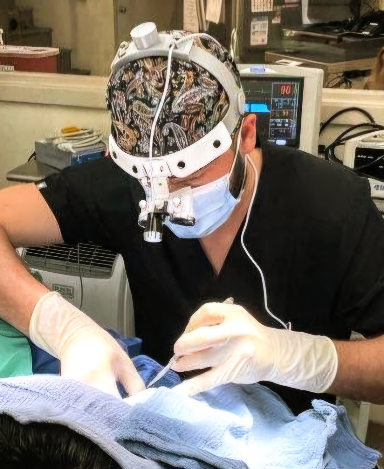 Dog Surgery in Flagstaff, AZ - Dr. Gabelt