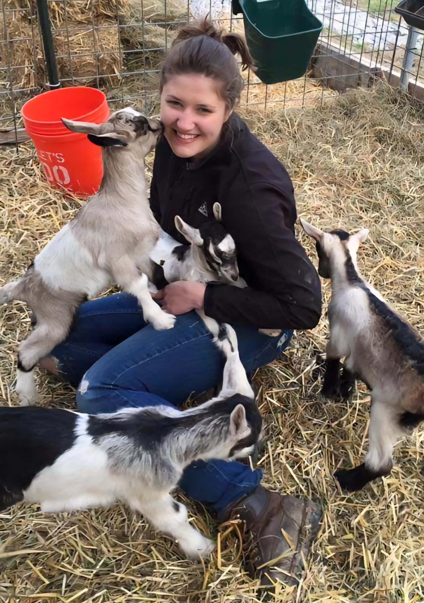 Small Ruminant Veterinary Services in Flagstaff, AZ - Goats
