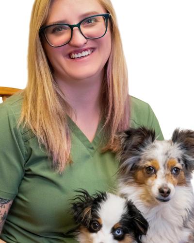 Aspen sales vet clinic