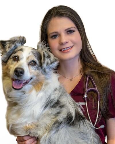 Dr. Warlick