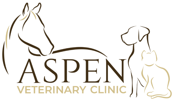 Aspen Veterinary Clinic