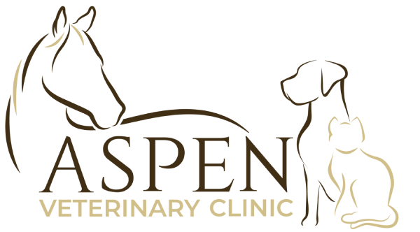 Aspen Veterinary Clinic